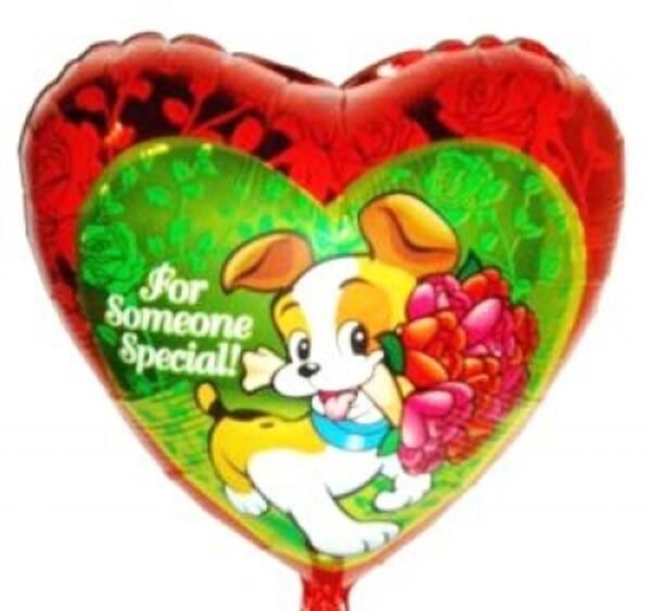 For Someone Special Folienballon 45cm